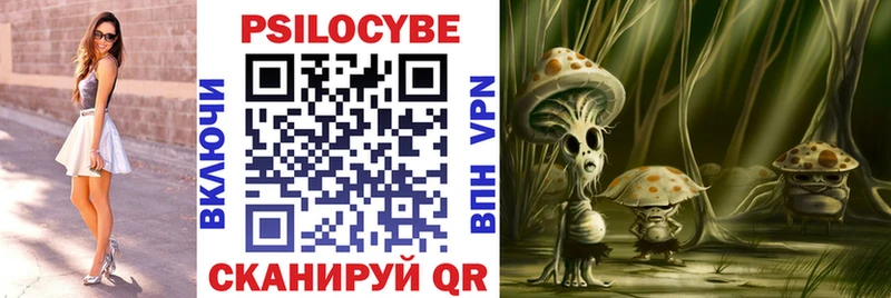 Купить где  Апрелевка  Галлюциногенные грибы Psilocybe 